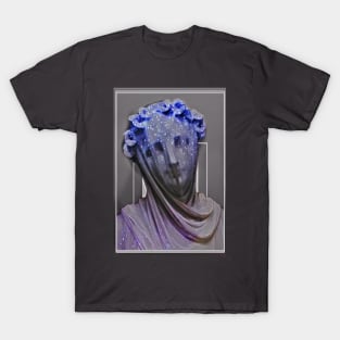 Aesthetics, darkness, gothic, romantic, moon, dark academia, love, romantic, statue, vintage, retro, artistic, artsy, classy T-Shirt